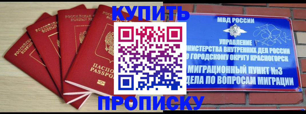 временная регистрация для всех в Змеиногорске